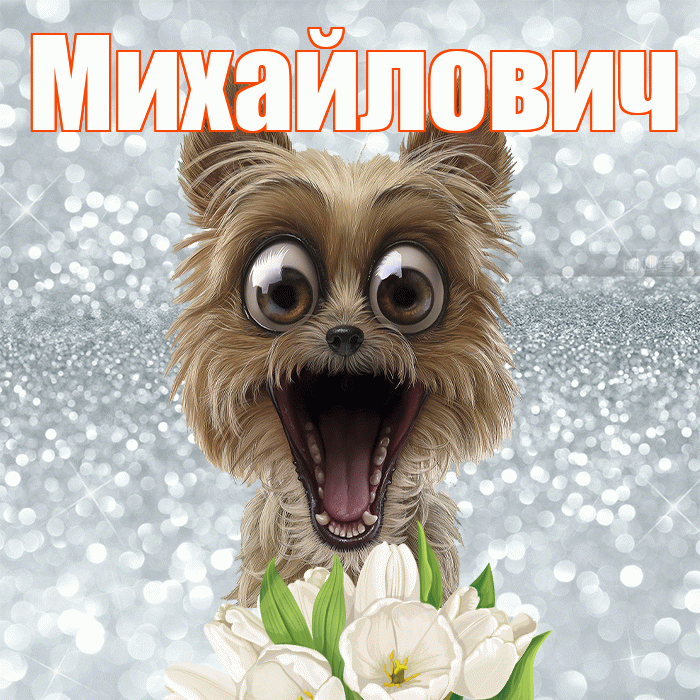 Михайлович! С добрым утром! Красивая открытка Михайловичу!