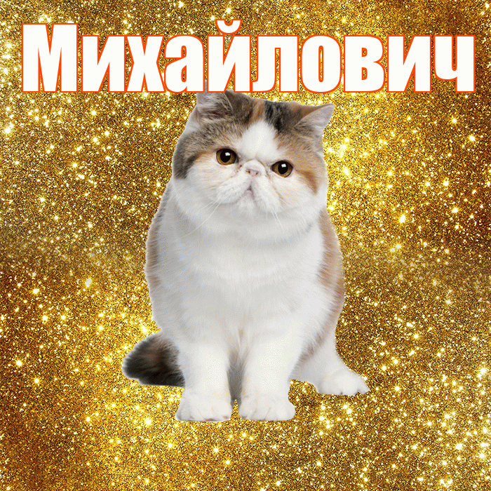 Михайлович! С добрым утром! Красивая открытка Михайловичу!
