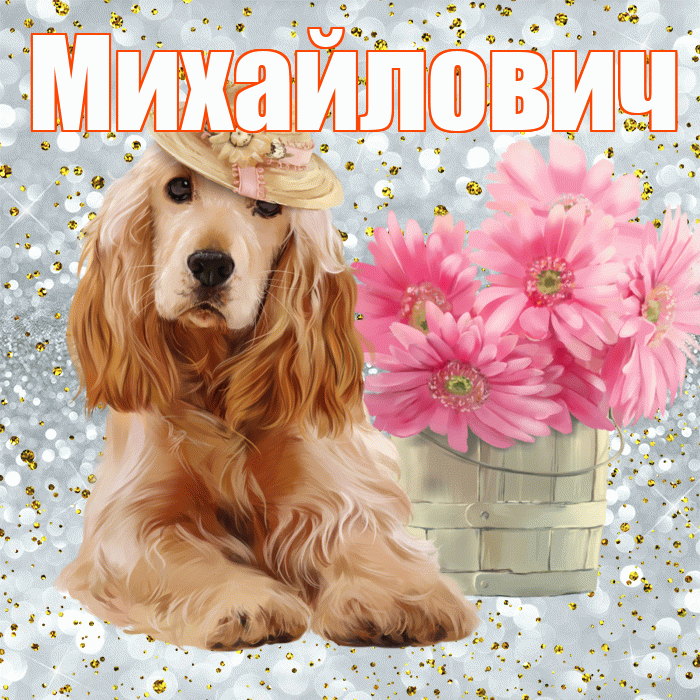 Михайлович! С добрым утром! Красивая открытка Михайловичу!
