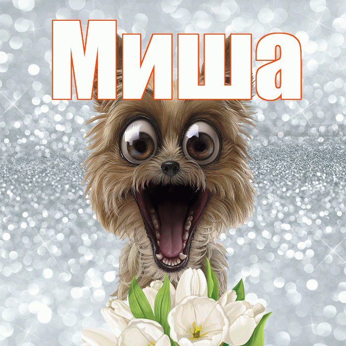 Миша! С добрым утром! Красивая открытка Мише!