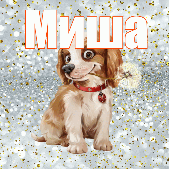 Миша! С добрым утром! Красивая открытка Мише!
