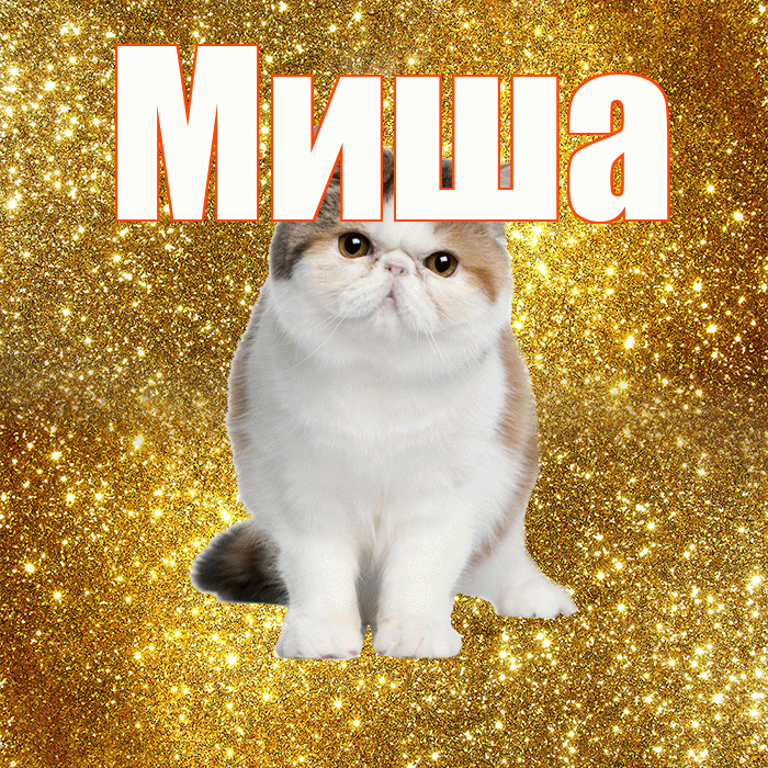 Миша! С добрым утром! Красивая открытка Мише!