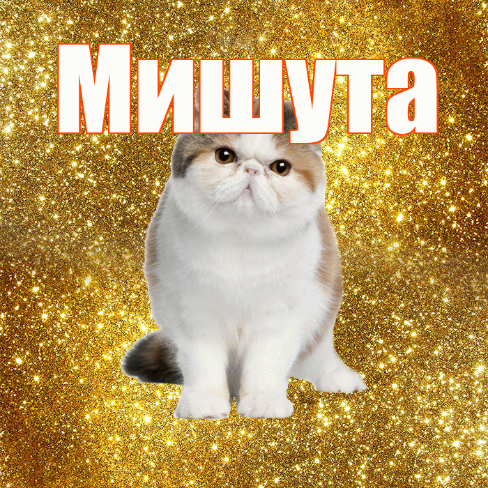 Мишута! С добрым утром! Красивая открытка !
