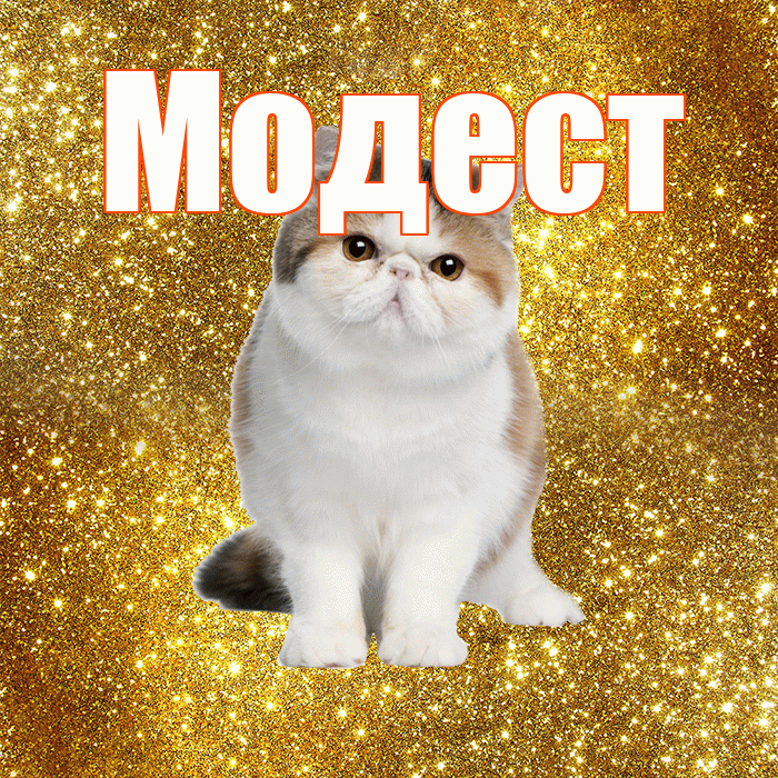 Модест! С добрым утром! Красивая открытка Модесту!
