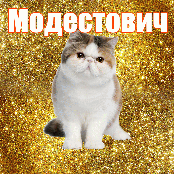 Модестович! С добрым утром! Красивая открытка Модестовичу!
