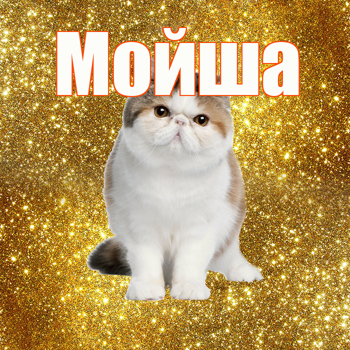 Мойша! С добрым утром! Красивая открытка !