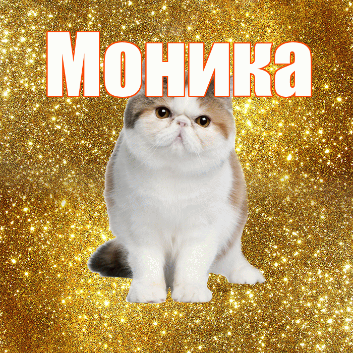 Моника! С добрым утром! Красивая открытка Монике!