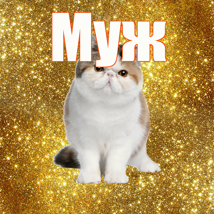 Муж! С добрым утром! Красивая открытка Мужу!