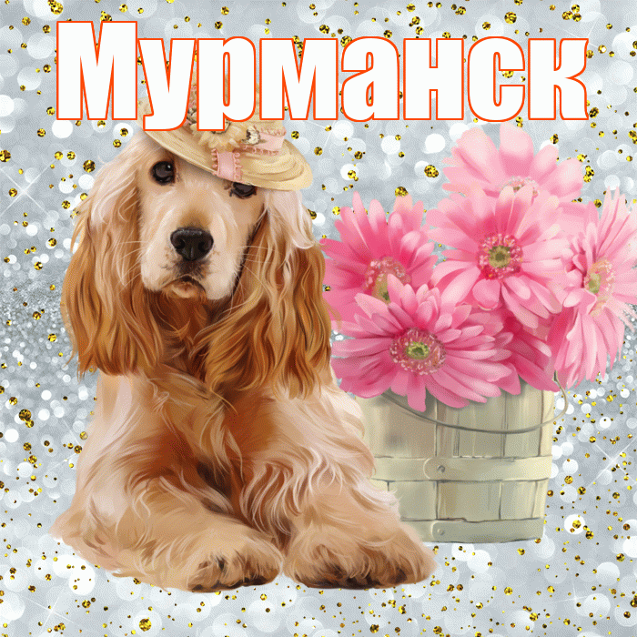 Мурманск! С добрым утром! Красивая открытка Мурманску!