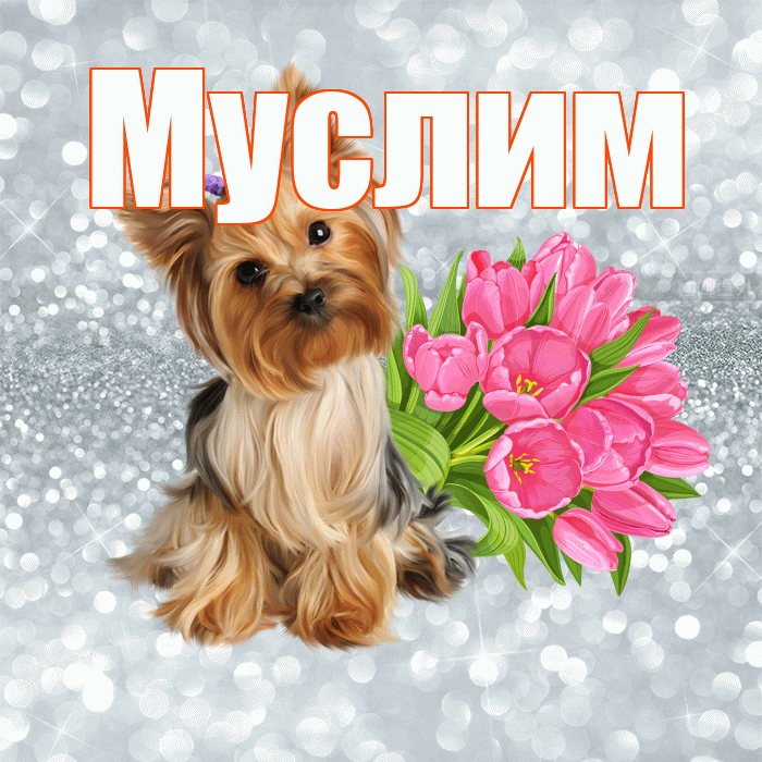Муслим! С добрым утром! Красивая открытка Муслиму!