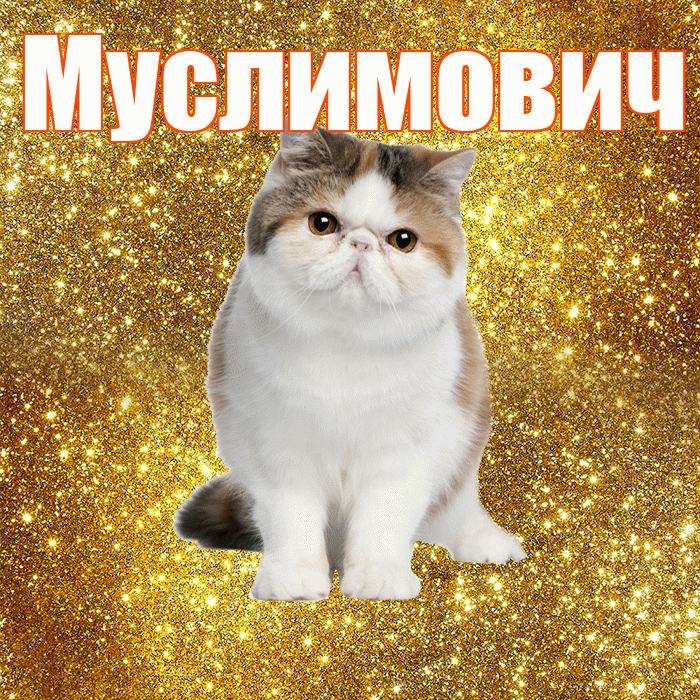 Муслимович! С добрым утром! Красивая открытка Муслимовичу!