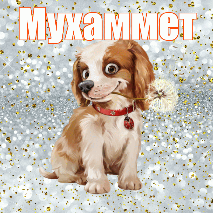 Мухаммет! С добрым утром! Красивая открытка Мухаммету!