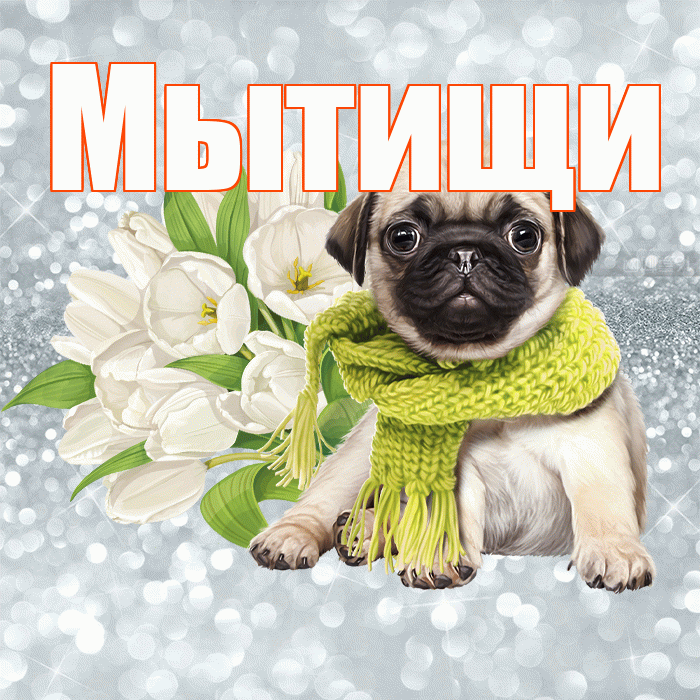 Мытищи! С добрым утром! Красивая открытка Мытищи!
