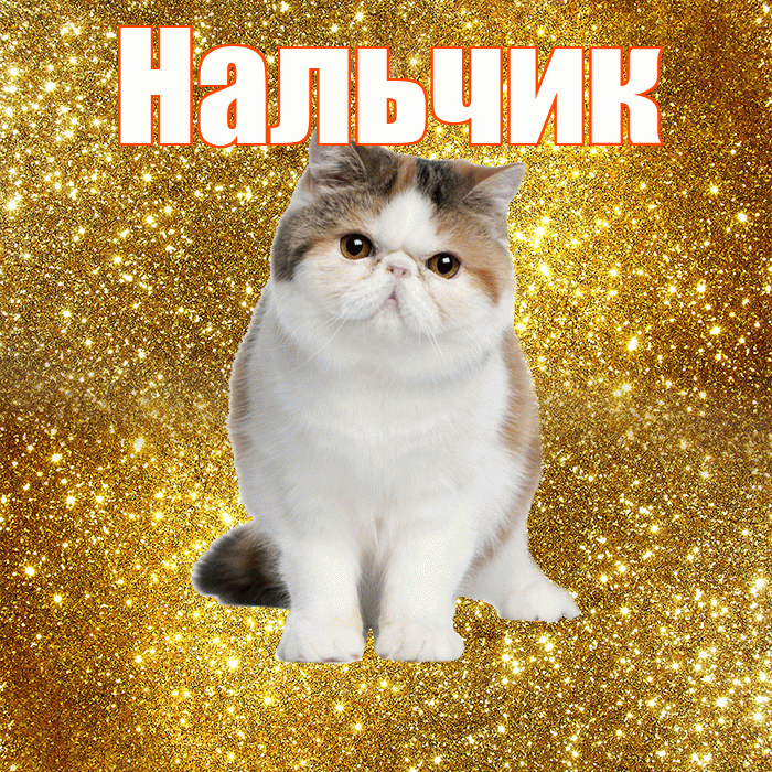 Нальчик! С добрым утром! Красивая открытка Нальчику!