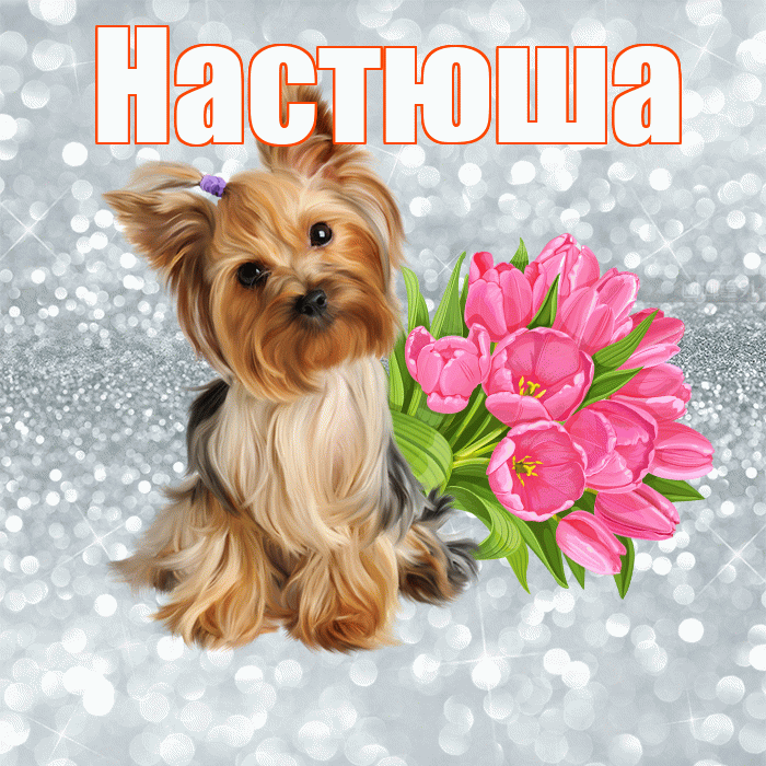 Настюша! С добрым утром! Красивая открытка !