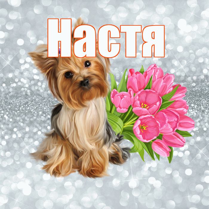 Настя! С добрым утром! Красивая открытка Насте!