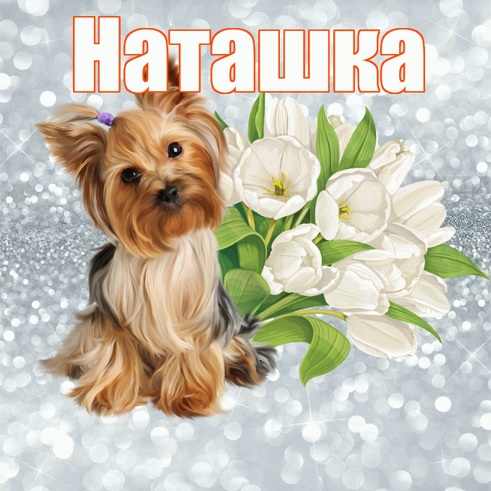 Наташка! С добрым утром! Красивая открытка !