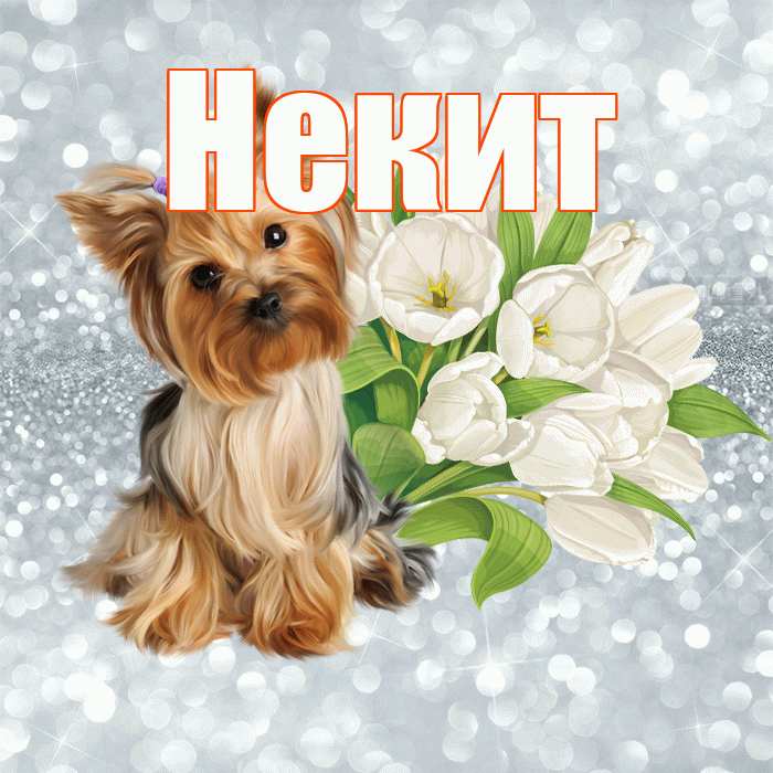 Некит! С добрым утром! Красивая открытка !