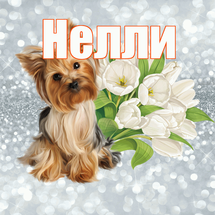 Нелли! С добрым утром! Красивая открытка Нелли!
