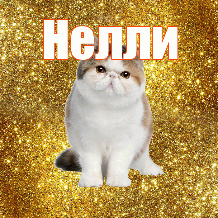 Нелли! С добрым утром! Красивая открытка Нелли!