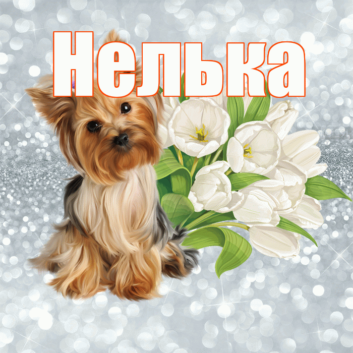 Нелька! С добрым утром! Красивая открытка !