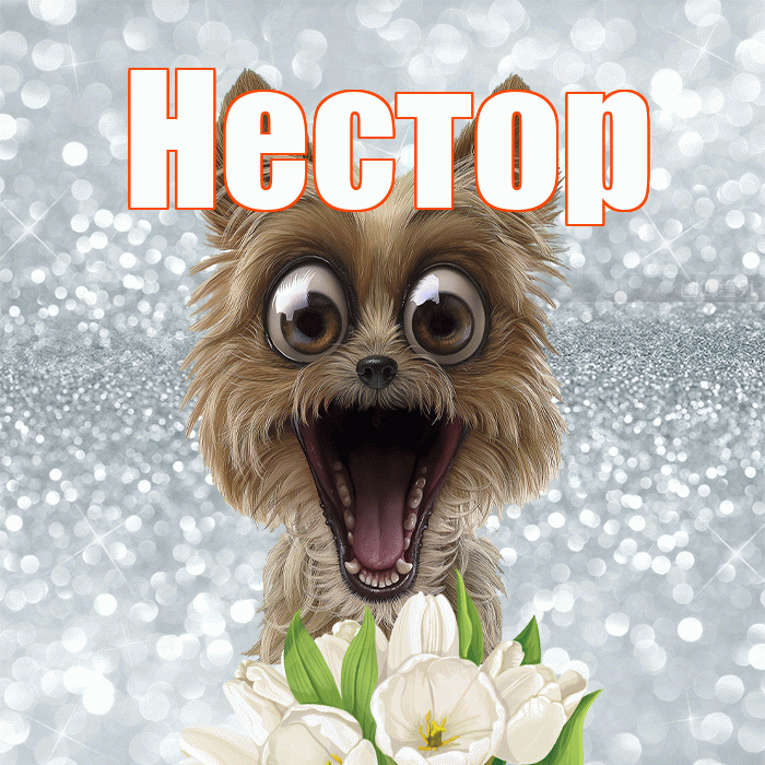 Нестор! С добрым утром! Красивая открытка Нестору!