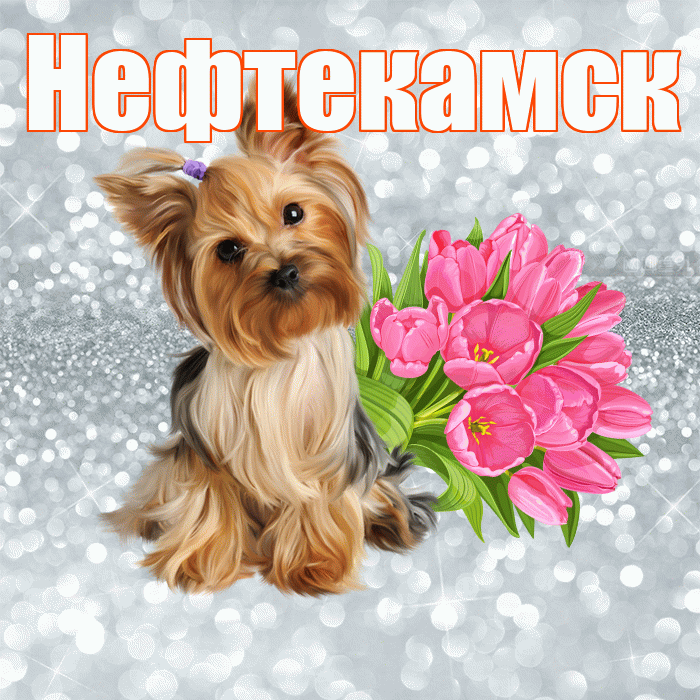 Нефтекамск! С добрым утром! Красивая открытка Нефтекамску!