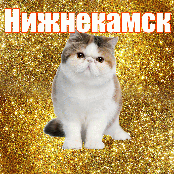Нижнекамск! С добрым утром! Красивая открытка Нижнекамску!