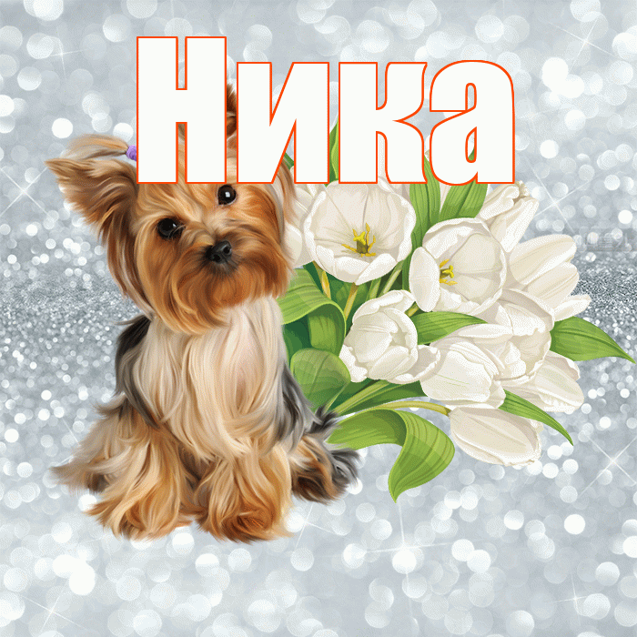 Ника! С добрым утром! Красивая открытка Нике!