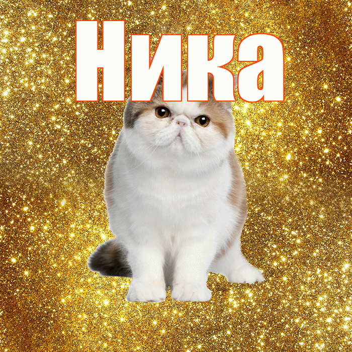 Ника! С добрым утром! Красивая открытка Нике!