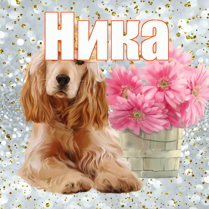 Ника! С добрым утром! Красивая открытка Нике!