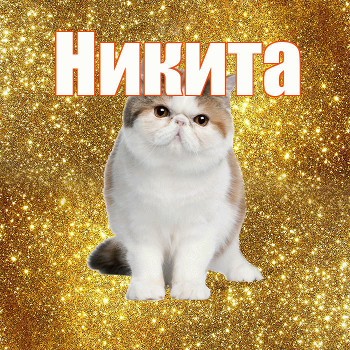 Никита! С добрым утром! Красивая открытка Никите!