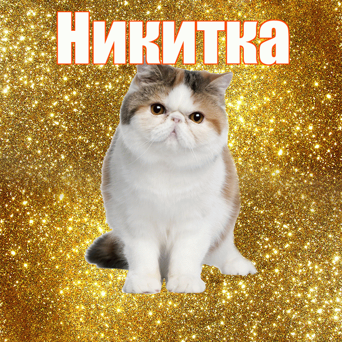 Никитка! С добрым утром! Красивая открытка !
