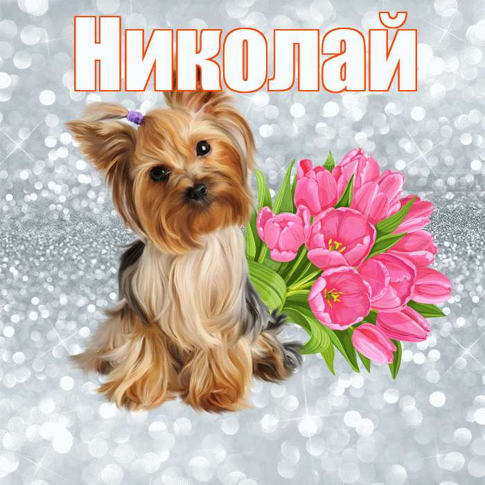 Николай! С добрым утром! Красивая открытка Николаю!