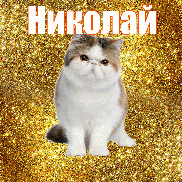 Николай! С добрым утром! Красивая открытка Николаю!