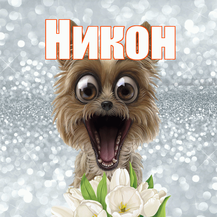 Никон! С добрым утром! Красивая открытка Никону!