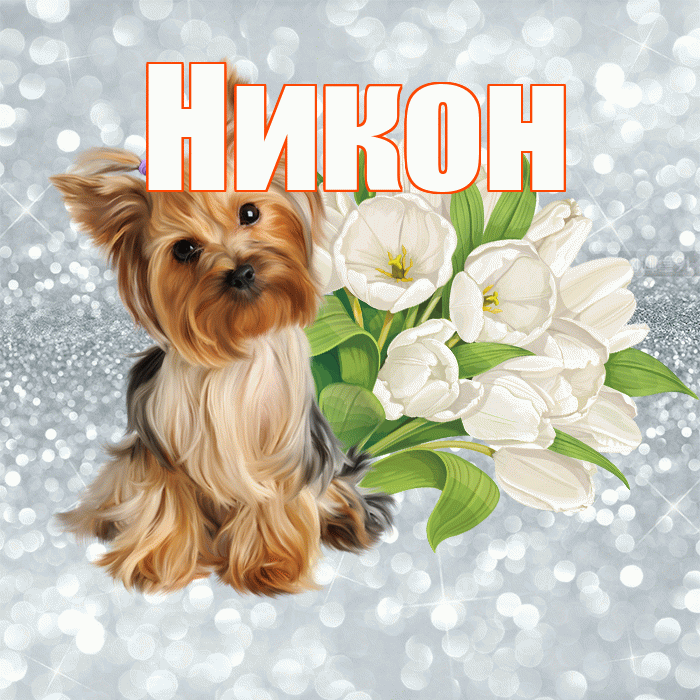 Никон! С добрым утром! Красивая открытка Никону!