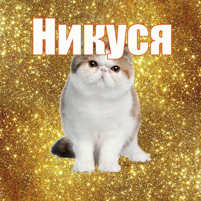 Никуся! С добрым утром! Красивая открытка !