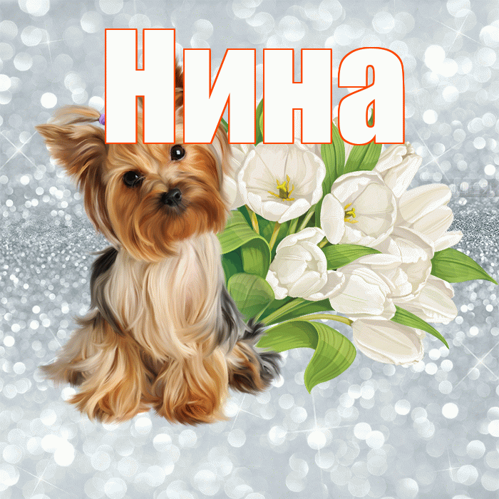 Нина! С добрым утром! Красивая открытка Нине!