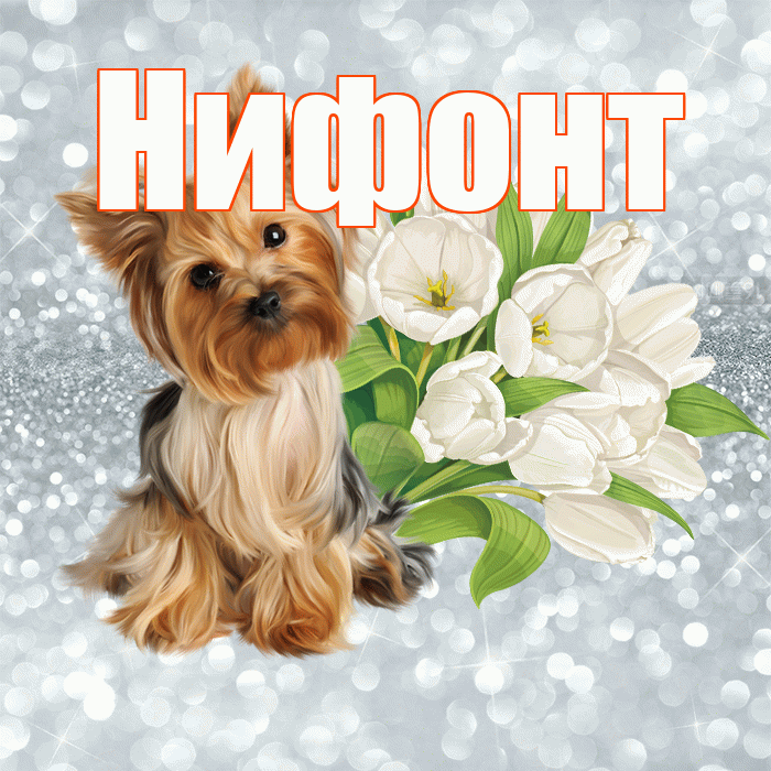 Нифонт! С добрым утром! Красивая открытка Нифонту!