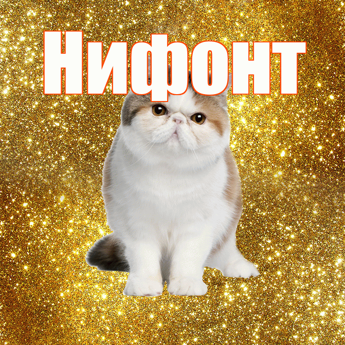 Нифонт! С добрым утром! Красивая открытка Нифонту!