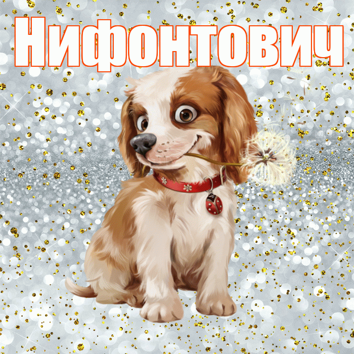 Нифонтович! С добрым утром! Красивая открытка Нифонтовичу!