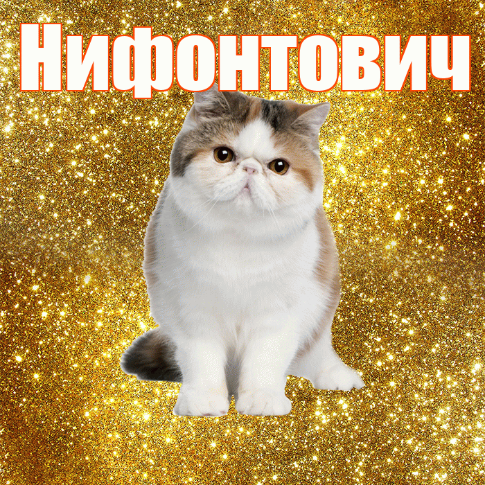 Нифонтович! С добрым утром! Красивая открытка Нифонтовичу!
