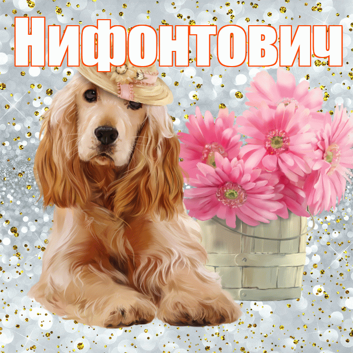 Нифонтович! С добрым утром! Красивая открытка Нифонтовичу!