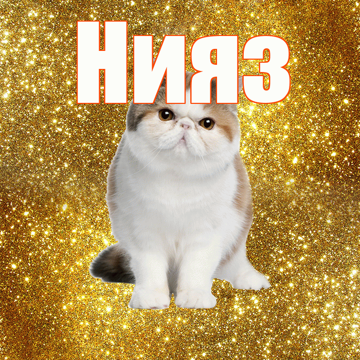 Нияз! С добрым утром! Красивая открытка Ниязу!