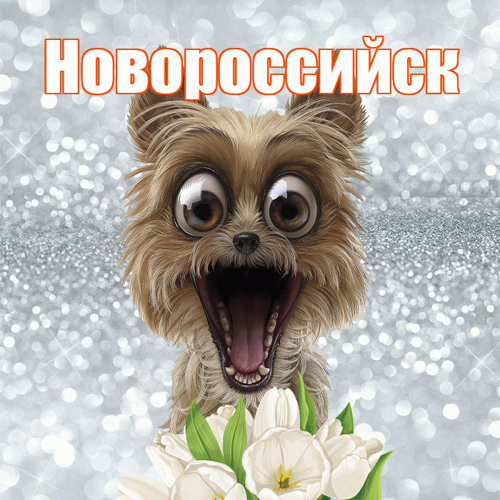Новороссийск! С добрым утром! Красивая открытка Новороссийску!