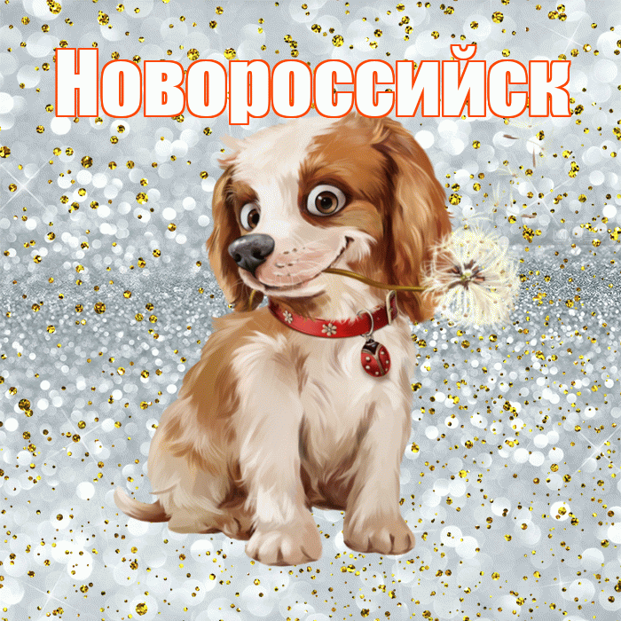 Новороссийск! С добрым утром! Красивая открытка Новороссийску!