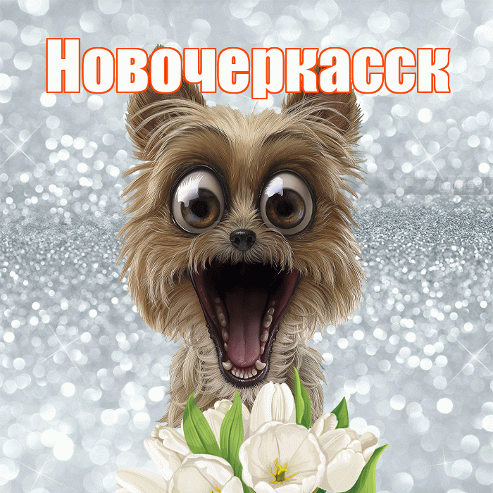 Новочеркасск! С добрым утром! Красивая открытка Новочеркасску!