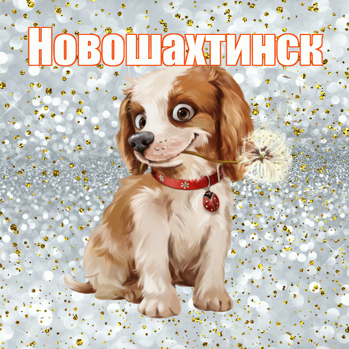 Новошахтинск! С добрым утром! Красивая открытка Новошахтинску!