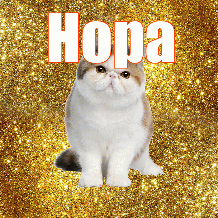 Нора! С добрым утром! Красивая открытка Норе!